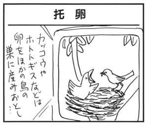 【無料漫画】かりあげクン(1519回)毎日配信!「グローブ」「雨だれ」狙うはホームランボール、ではなく…/植田まさし 13