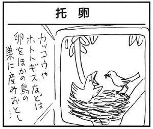 【無料漫画】かりあげクン(175)「まがったきゅうり」「火事」…植田まさし 21