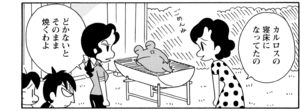 【無料漫画】COMA GOMA ゴマちゃん(111)「ついつい…」大きな鍋でカレーを作ることに!?/森下裕美 8