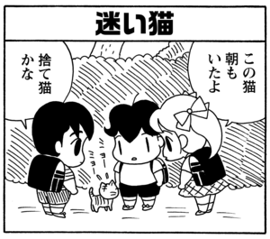 迷い猫 この猫 朝もいたよ 捨て猫かな