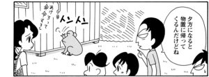 【無料漫画】COMA GOMA ゴマちゃん(78)「誰かもらって」大きなカエルもダッコをすれば愛着がわく!?/森下裕美 24