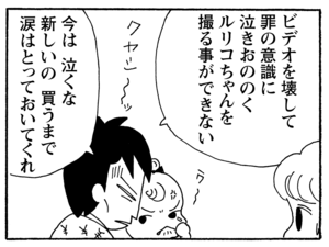 【無料漫画】少年アシベ(200)「今日も雨」森下裕美 25