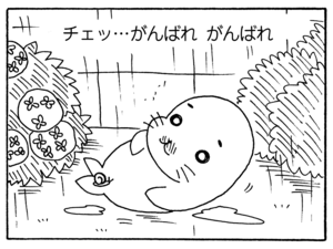 【無料漫画】少年アシベ(203)「つかの間の…」森下裕美 12