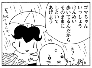【無料漫画】少年アシベ(203)「つかの間の…」森下裕美 11