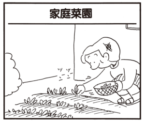 【無料漫画】かりあげクン(931)11月も毎日 配信!「家庭菜園」「紫キャベツ」鍋に対抗した冬のご飯とは?/植田まさし 1
