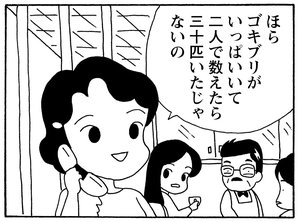 ほらゴキブリがいっぱいいて二人で数えたら三十匹いたじゃないの