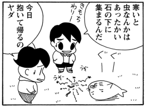 【無料試し読み】少年アシベ(81)「愛の家族」森下裕美 17