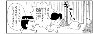 ゴマちゃんそっち行っちゃダメ旅館の庭に出ちゃうよ コラアシベもそんなかっこうで出てっちゃダメだよ