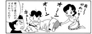 【無料漫画】COMA GOMA ゴマちゃん(36)「お泊りゴロー」マコトちゃんからゴローを預かったアシベたち!/森下裕美 24