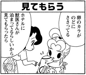 【無料漫画】少年アシベ(252)「ご近所の迷惑」オシャレをしたくてシャツを買いに行くと店員に/森下裕美 22