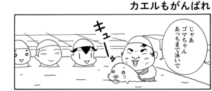 【無料漫画】COMA GOMA ゴマちゃん(79)「プールの主役」先生として泳ぎのお手本を見せることに!/森下裕美 9