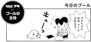 ゴマちゃん今日 プール入れるよ!