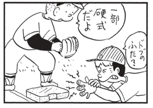 一部硬式だよ ドブのふた?