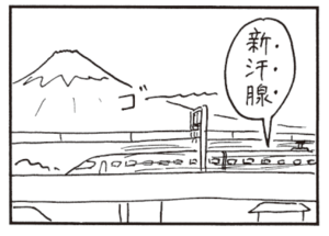 新汗腺