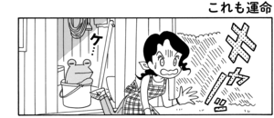 【無料漫画】COMA GOMA ゴマちゃん(78)「誰かもらって」大きなカエルもダッコをすれば愛着がわく!?/森下裕美 13