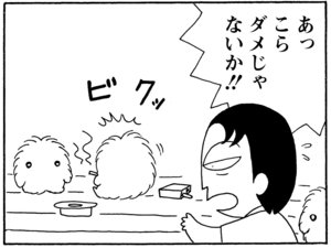 あっこらダメじゃないか!!