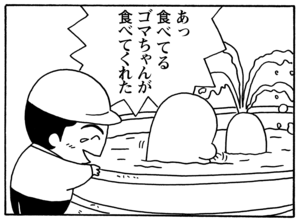 【無料試し読み】少年アシベ(90)「今年のバレンタイン」森下裕美<br /> 20