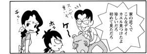 【無料漫画】COMA GOMA ゴマちゃん(78)「誰かもらって」大きなカエルもダッコをすれば愛着がわく!?/森下裕美 16