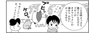 【無料漫画】COMA GOMA ゴマちゃん(78)「誰かもらって」大きなカエルもダッコをすれば愛着がわく!?/森下裕美 8
