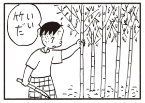 いい竹だ