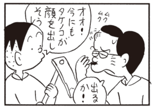 オオ!今にもタケノコが顔を出しそう 出るか!